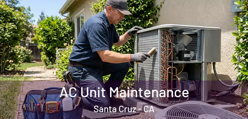 AC Unit Maintenance Santa Cruz - CA